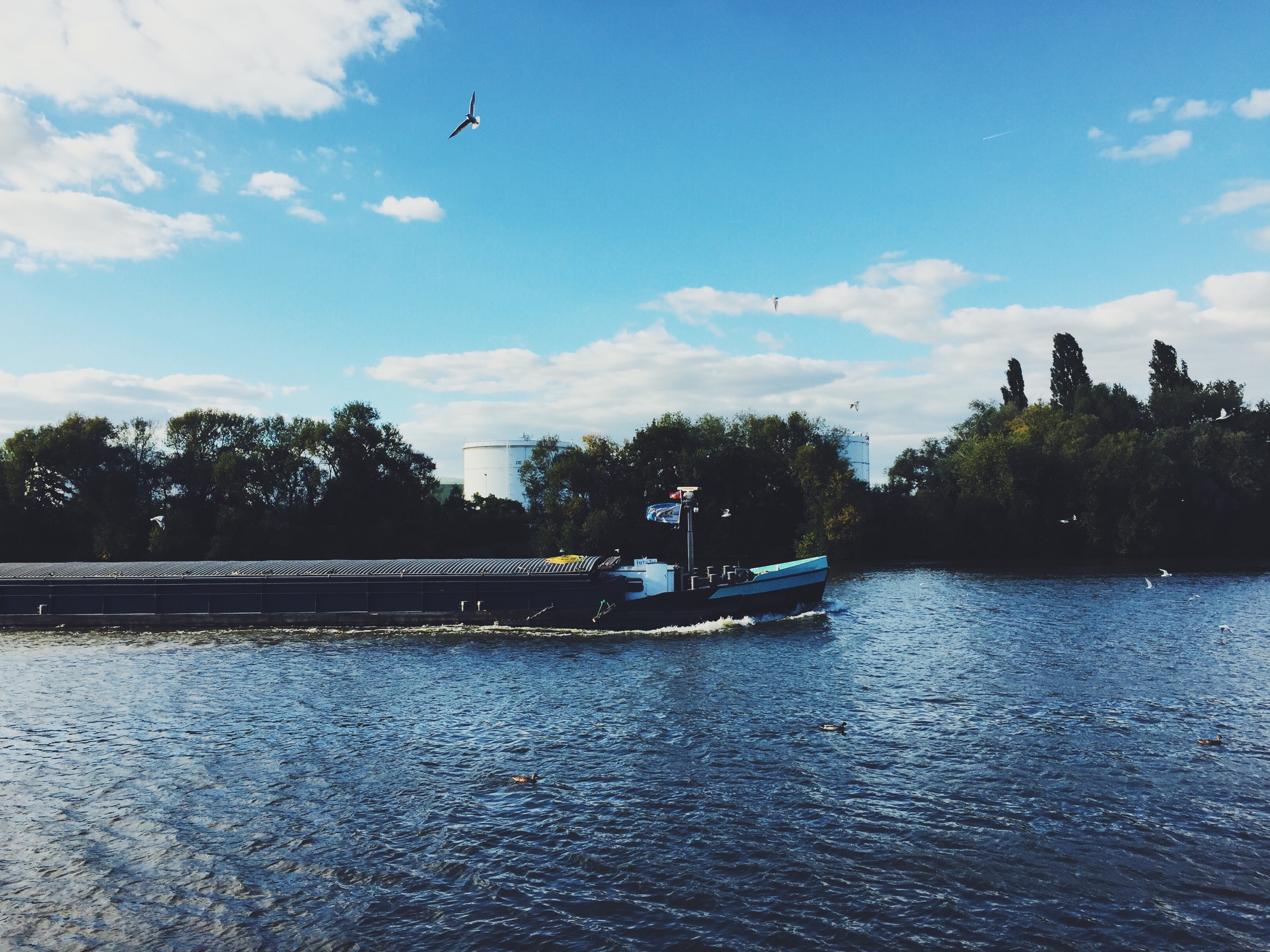 R sselsheim Am Main Falschrum Weblog