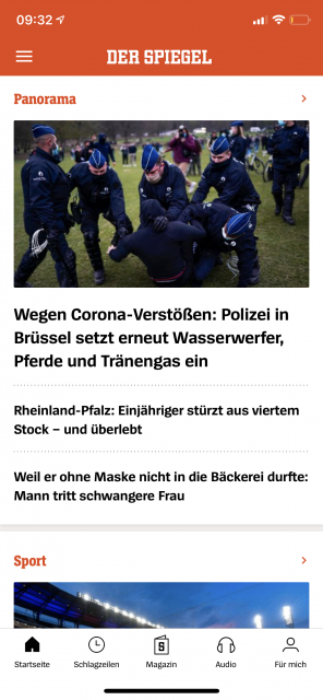 Das Pferd unter Waffen