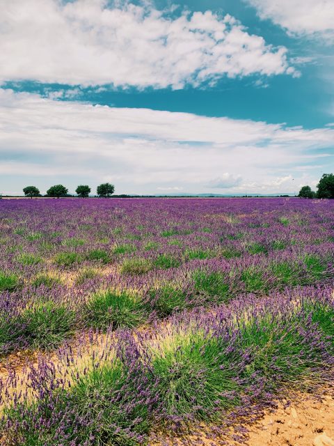 Provence