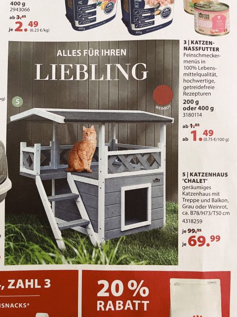 Ob du behindert bist, habe ich gefragt