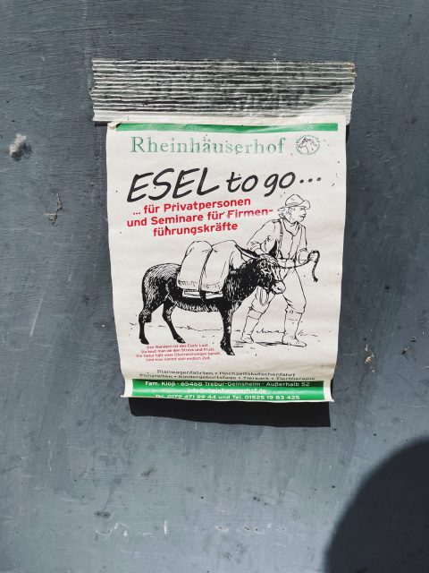 Die Innovation aus Geinsheim