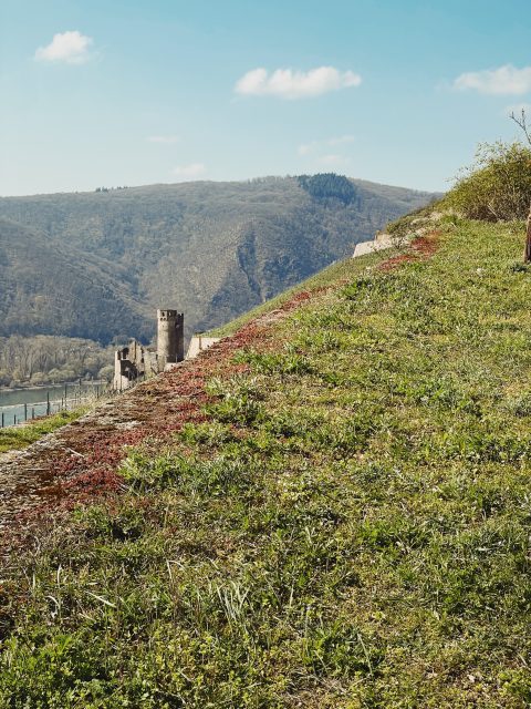 Burgruine Ehrenfels