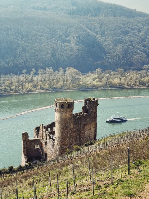 Burgruine Ehrenfels