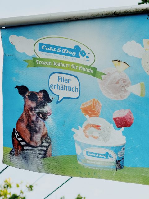 Ob du behindert bist, habe ich gefragt Teil 92