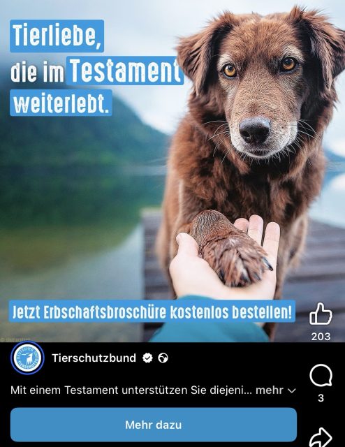Ob du behindert bist, habe ich gefragt Teil 95